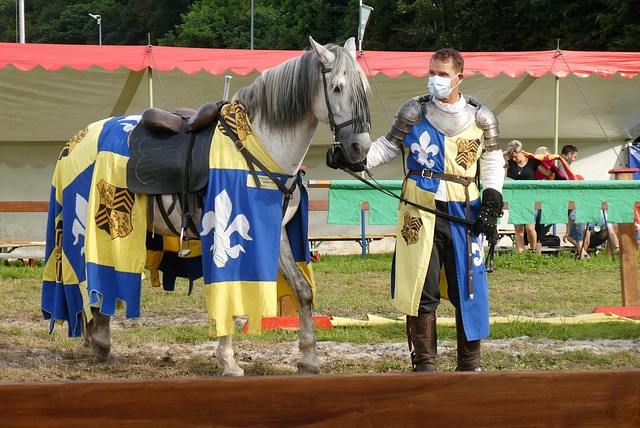 他们将分别 他们将分别