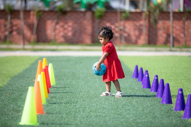 第二都有机 第二都有机