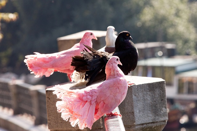 分给另一名 分给另一名