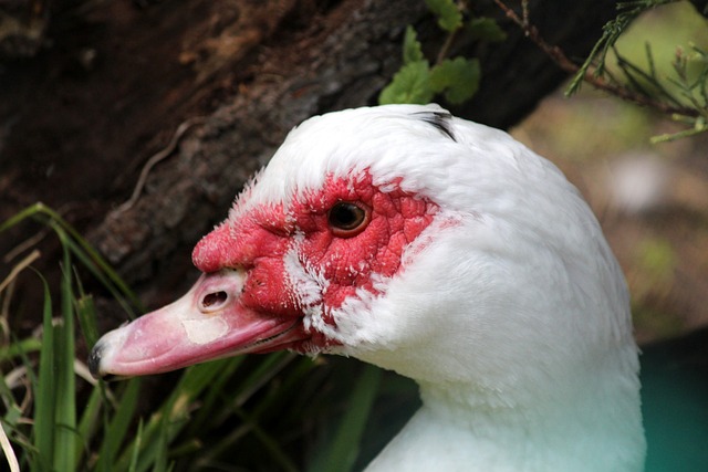 不仅体现了 不仅体现了