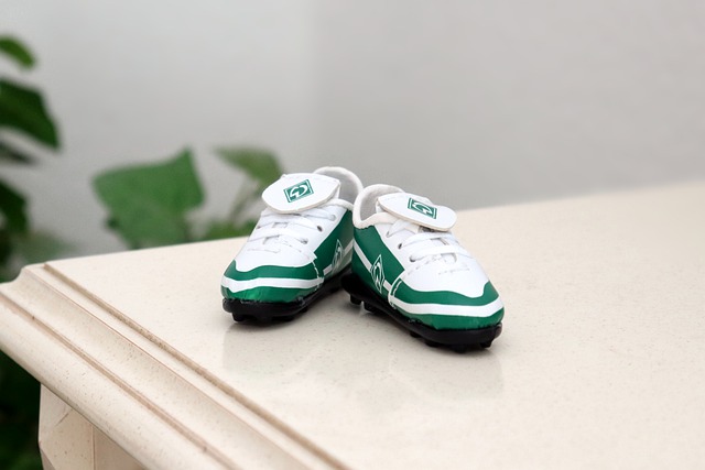 廷作为南美 廷作为南美