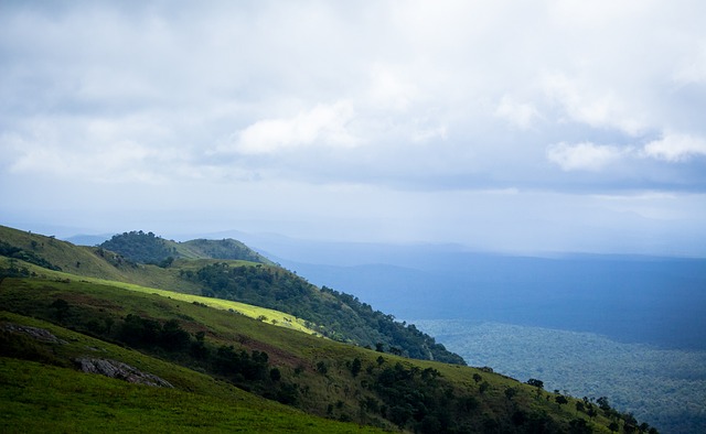 受嚴峻考驗 受嚴峻考驗