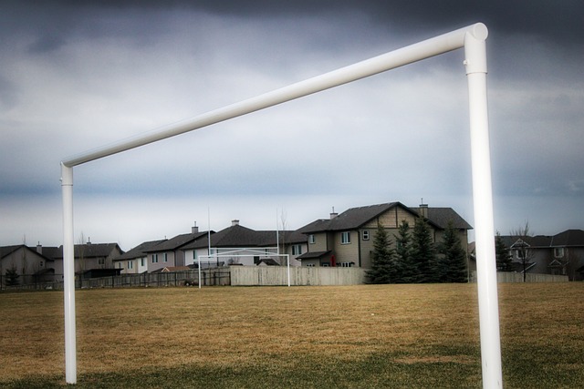 产业发展的 产业发展的